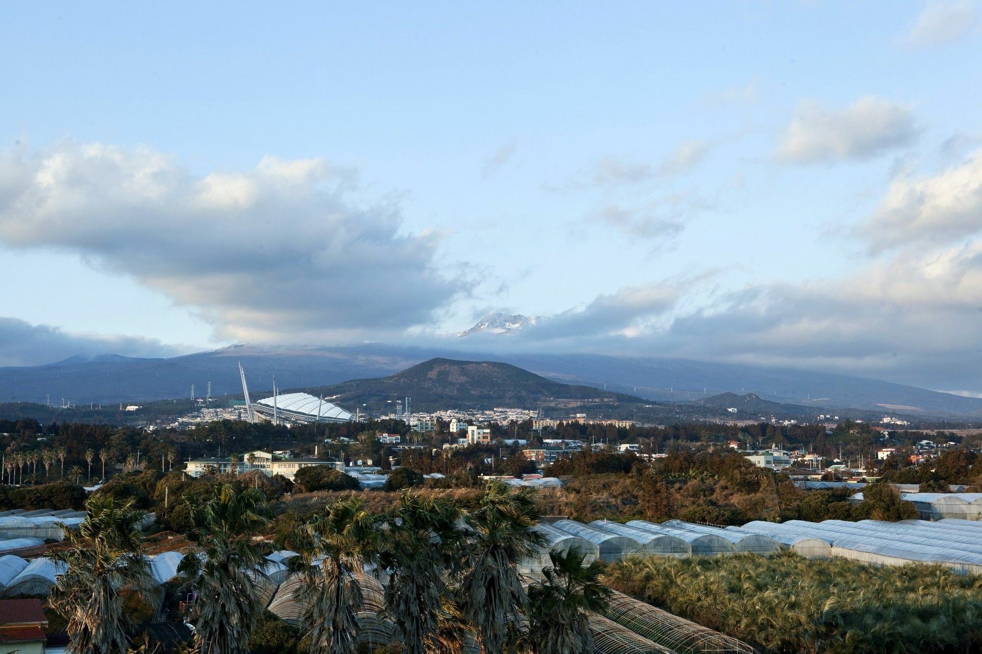 Villa Oceantree House Seogwipo Exterior foto