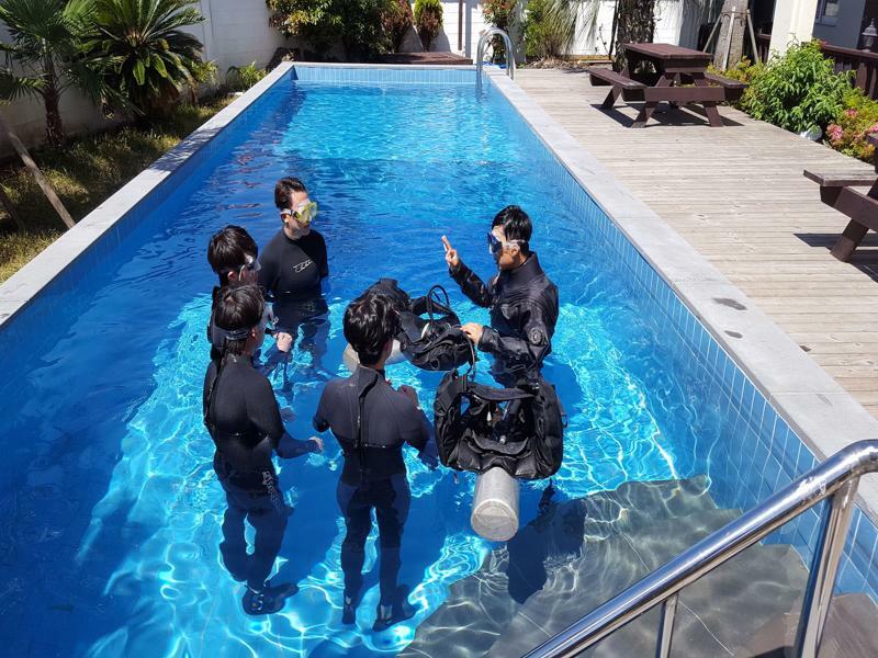 Villa Oceantree House Seogwipo Exterior foto