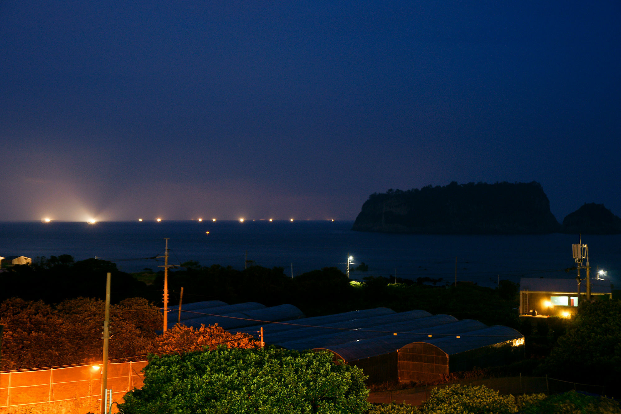 Villa Oceantree House Seogwipo Exterior foto